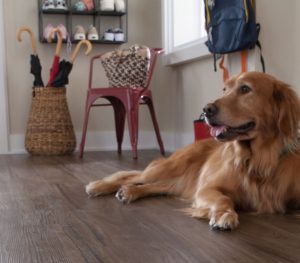 laminate flooring installation